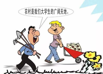 考公、考研難度高，應(yīng)屆生你還有4種選擇